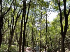 -玉渡山自然风景区