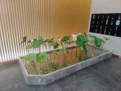 -圣梦亲体美肤生活馆