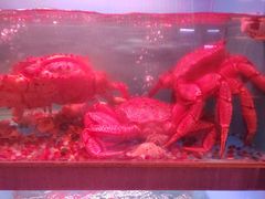 -月下料理(楷林IFC店)