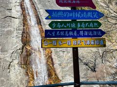 -朱雀国家森林公园