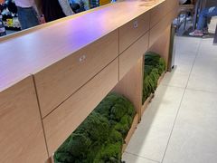 -茉莉奶白(广州动漫星城店)