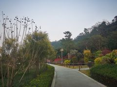 -顺峰山公园