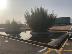 -金陵图书馆