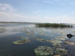 -梁子岛生态旅游区