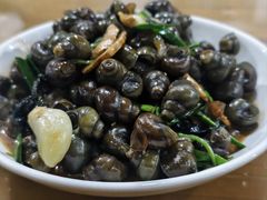 -遇龙河大樟树农家乐