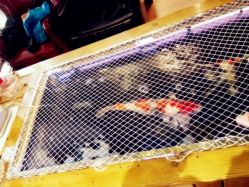 -鳌首刺青纹身 穿孔饰品店