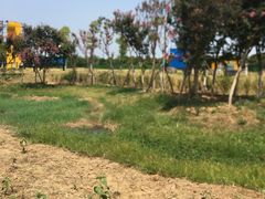 -武汉紫薇都市田园