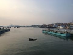 -长岛万鸟岛