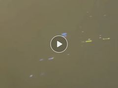 -太原凯宾斯基饭店