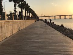 -宝安西湾红树林湿地公园