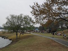 -钟山体育运动公园