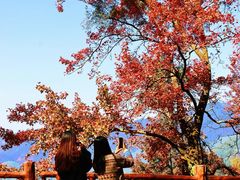-广州市石门国家森林公园
