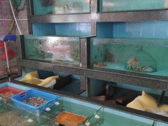 水产区-金辉海鲜餐厅