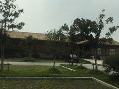 -南湖湿地公园