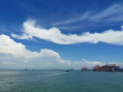 -招商蛇口邮轮母港(观光客运)