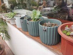 -素心小筑(后沙裕镇店)