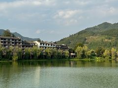 -后柳水乡