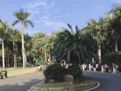 -深圳仙湖植物园