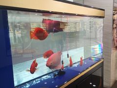 -宝岛眼镜(杭州万塘路旗舰店)