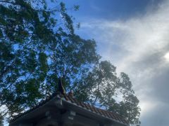 -火炉山森林公园