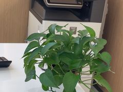 -泰康拜博口腔(松江印象城臻尔店)