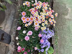 -冰冰龙虾·江湖菜·花园江景餐厅