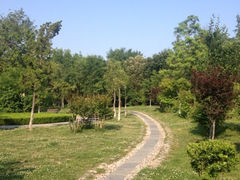 iphone_upload_pic-八大关景区