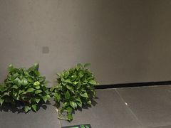 -耳妃躺式采耳SPA馆
