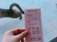 -gaga(深圳福田星河COCO Park店)
