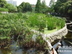 -成都市活水公园