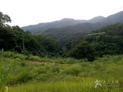 -秦岭天竺山景区