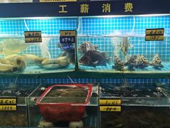 水产区-望海潮海鲜店 特色家常菜(在海一方店)