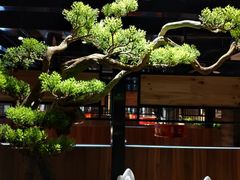 -山之屋炭火烧肉·生啤畅饮(大朗万科中央公园店)