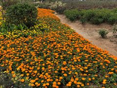 -漩门湾国家湿地公园