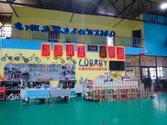 -长春乐奇平衡车儿童体能运动中心