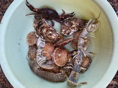 -海之味海鲜大咖·家常菜