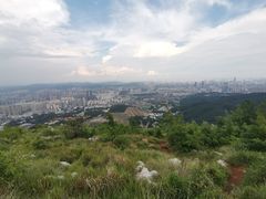 -长虫山生态公园风景林