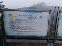 -大金鹰园