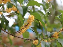 -杭州少年儿童公园