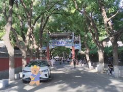 -北京国子监胡同