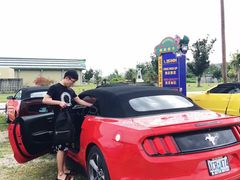 -丽姐租车
