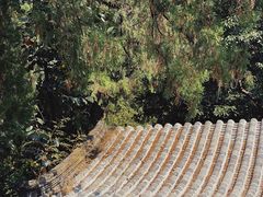 -潭柘寺景区