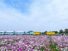 -径山花海
