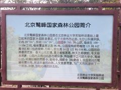 -北京鹫峰国家森林公园