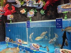 -百姓渔村(西宫店)