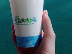 -苏州乐园森林水世界