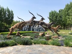 -武清南湖绿博园