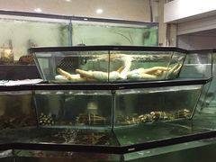 -镇发活海鲜(Clementi)