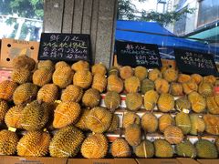 5A级金枕头榴莲-鲜力达果品批发直销(无锡保利香槟店)