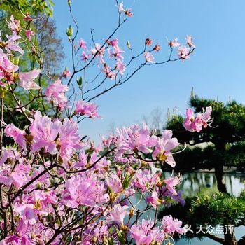 不要门票的南京又一经典公园